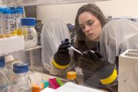 Deirdre Ricaurte working in the anaerobic chamber